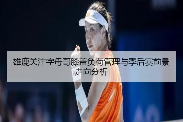 雄鹿关注字母哥膝盖负荷管理与季后赛前景走向分析