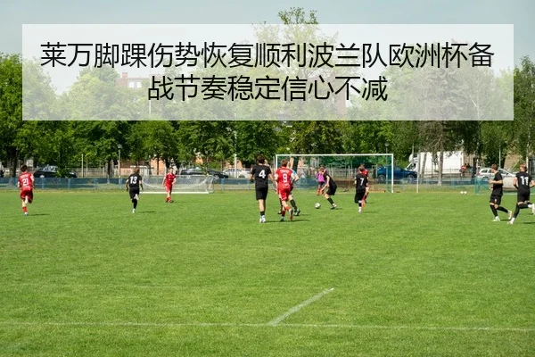莱万脚踝伤势恢复顺利波兰队欧洲杯备战节奏稳定信心不减