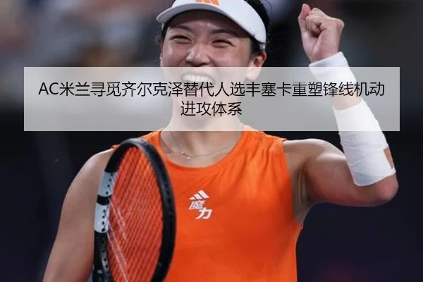 AC米兰寻觅齐尔克泽替代人选丰塞卡重塑锋线机动进攻体系